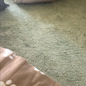 Meet your Posher, Darla